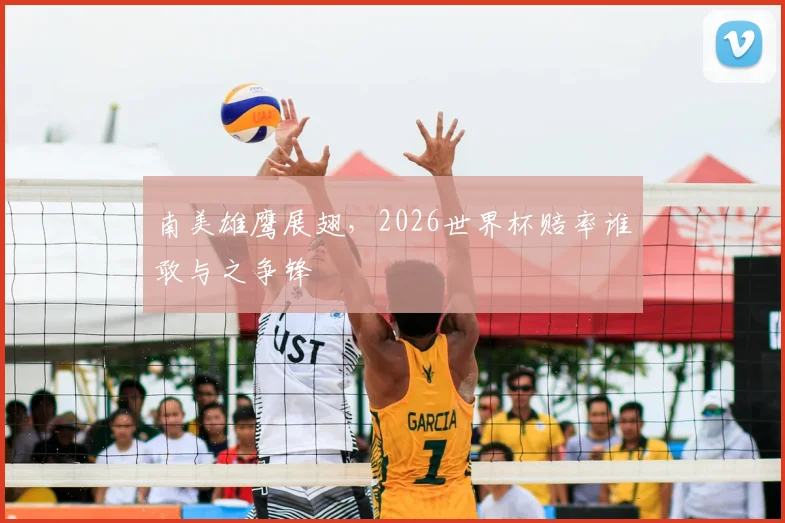 南美雄鹰展翅，2026世界杯赔率谁敢与之争锋