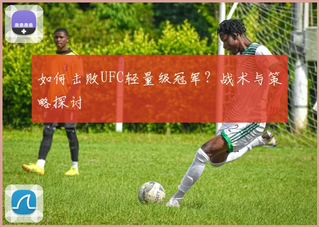 如何击败UFC轻量级冠军？战术与策略探讨