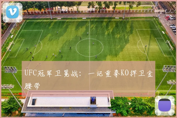 UFC冠军卫冕战:一记重拳KO捍卫金腰带