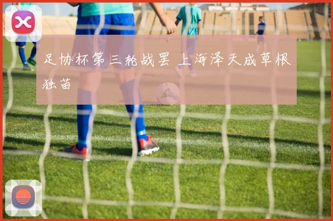 足协杯第三轮战罢 上海泽天成草根独苗