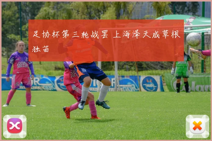 足协杯第三轮战罢 上海泽天成草根独苗